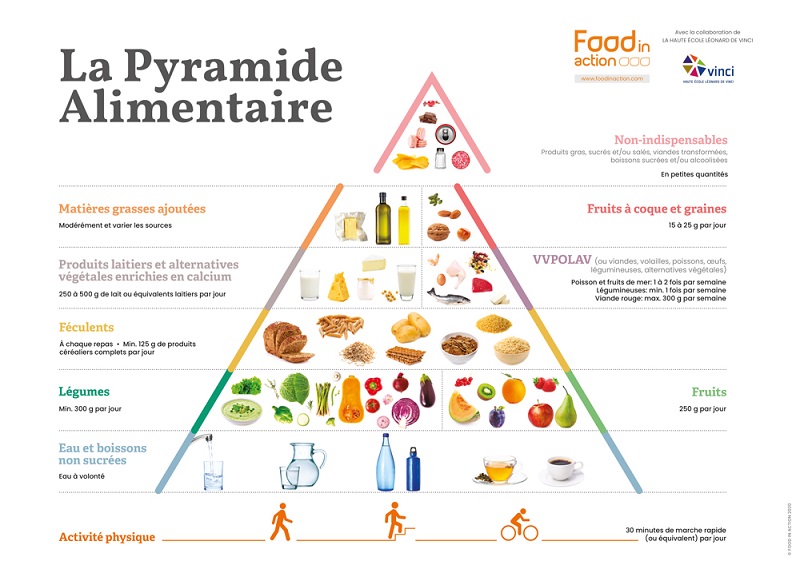 Dernière version de la pyramide alimentaire sortie en 2020, rassemblant les grandes recommandations nutritionnelles dans le cadre d'un rééquilibrage alimentaire.